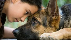 Sprechen Sie mit Ihrem Hund in seiner Sprache: 7 Gesten, die „Ich liebe dich“ ersetzen