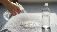 Warum erfahrene Hausfrauen Essig auf den Teppich sprühen: 5 Tipps, die die Reinigung erheblich erleichtern