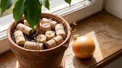 Ich habe die Fliegen in meinen Zwiebeln und Blumen mit einem gewöhnlichen Weinkorken losgeworden (und ich empfehle euch, das Gleiche zu tun – es funktioniert!).