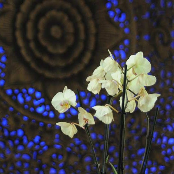 Show Mandala Blue Orch 01fw